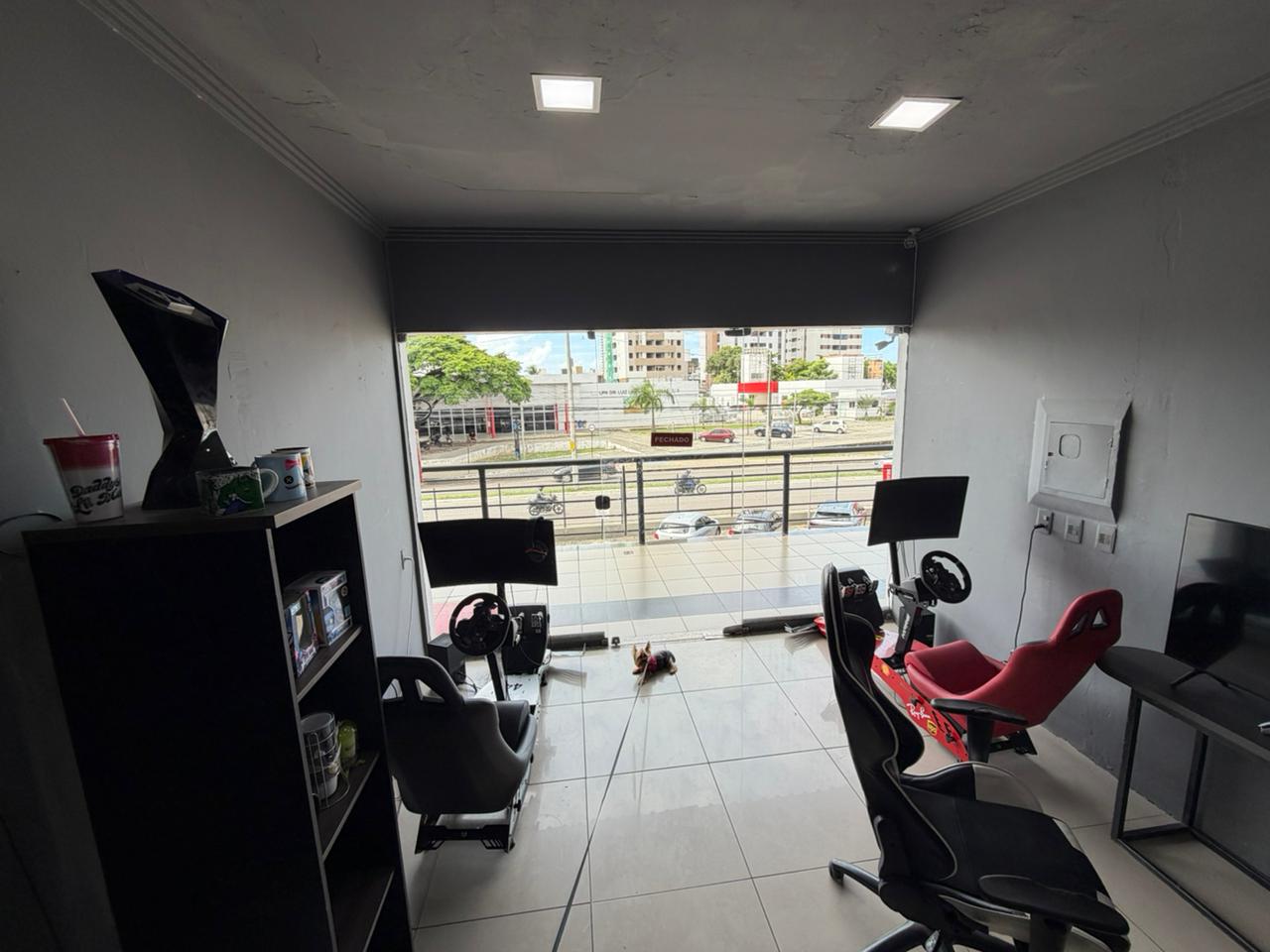 Arena – Vitrine interna